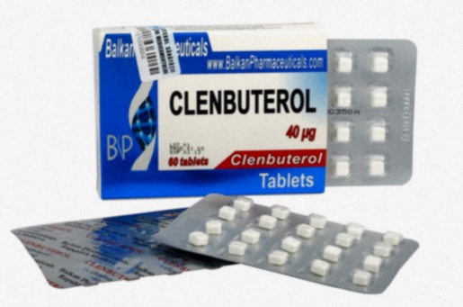 Clenbuterol Kaufen Deutschland Preis